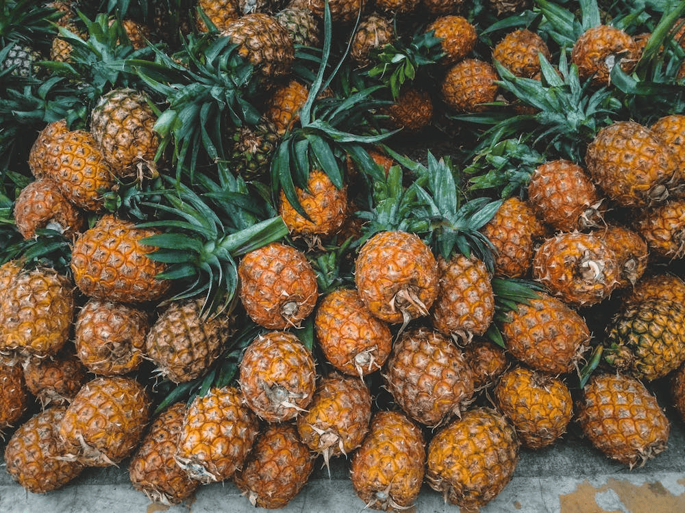 除甲醛最有效方法實測：食物除甲醛